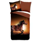 JACK Bettwäsche 135x200cm Freedom Horse Pferd, Microfaser, 2 teilig, beeindruckendes Ambiente in braun-orangener Sonnenuntergangsstimmung braun