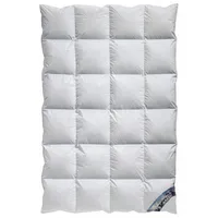 Arktic Kassetten Daunendecke Ganzjahresdecke 100% Natur 155x220 cm