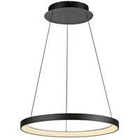 Paul Neuhaus LED Pendelleuchte LED Pendelleuchte HOOP, höhenverstellbar, dimmbar, Memoryfunktion, 1xLED-Board/37W/3000K, warmweiß, manuell höhenverstellbar mit Lift, stufenlos dimmbar schwarz