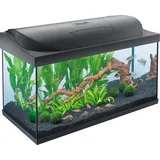 Tetra Starter Line LED Aquarium 105l