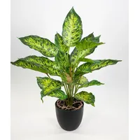 Seidenblumen Roß Dieffenbachia 50cm im Topf ZF künstliche Pflanzen
