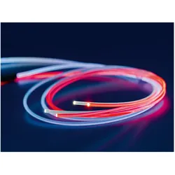 Held H.L.S. Set LED Ersatzbeleuchtung für Frauen