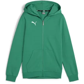 Puma teamGOAL Casuals Kapuzenjacke Jungen 05 sport green/white 140