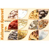 Bio Pilzzuchtkulturen Sparset