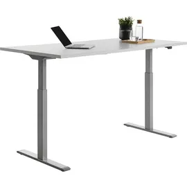 TOPSTAR Schreibtisch E-Table lichtgrau