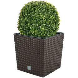 WellHome - Pack Topf 32L mit Buchskugel 27 cm in Schokolade