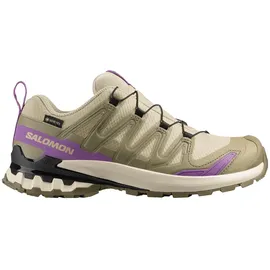 Salomon XA Pro 3D V9 GTX Damen Bog/Aloe/Concord Grape 36