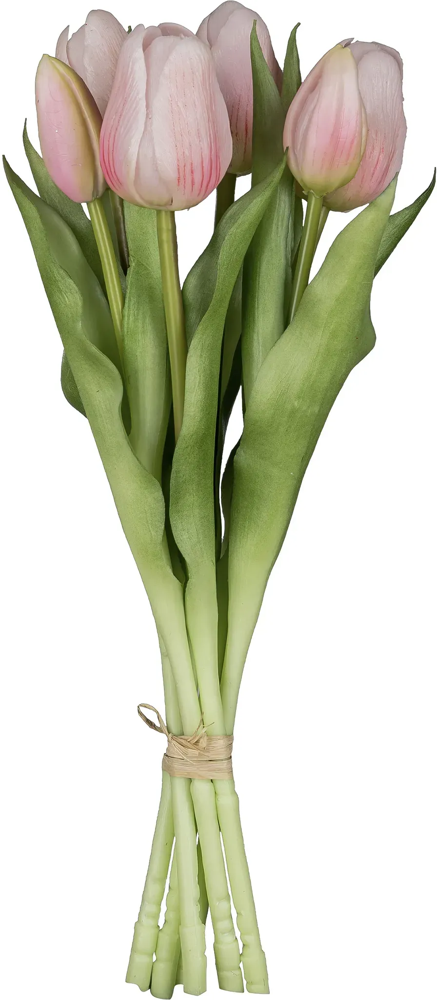 Kunsttulpe CREATIV GREEN 