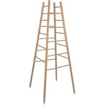 WINDHAGER Rankpyramide Pflanzenstütze 50 x 50 x 145 cm