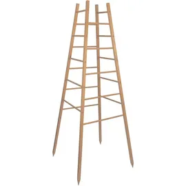 WINDHAGER Rankpyramide Pflanzenstütze 50 x 50 x 145 cm