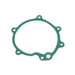 ELWIS ROYAL Dichtung, Wasserpumpe  für OPEL 1334746 90190983 4642541