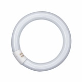 Osram LUMILUX T9 C L 32W/840 G10Q (581143)