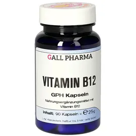 Hecht Pharma Vitamin B12 GPH Kapseln 90 St.