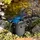 SCHEPPACH | Teichdruckfilter Set PFS8000 8000 L/h Fördermenge 11 W UV-C Lampe Teichfilter