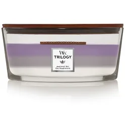 WoodWick Trilogy AMETHYST SKY Kerzen 454 g 