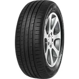 MINERVA F209 205/55 R16 94V
