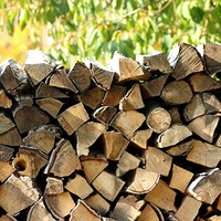 WEIDENPROFI 30 kg Brennholz aus Kiefer und Fichte, Kaminholz 33-36 cm Scheitlänge, ofenfertig <20% Feuchtigkeit