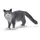 Schleich Farm World Maine-Coon-Katze 13893