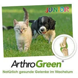 cdVet ArthroGreen Junior 25 g Pulver