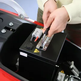 Maximus MX2-45 3000 Watt 45 km/h Rot