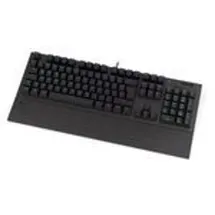 endorfy Omnis, PBT, LEDs RGB, Kailh RED, USB, DE (EY5D027)