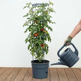 Prosperplast Tomatentopf Ø 39,2 x 31,8 cm Anthrazit