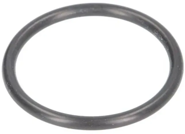 Joint torique 38,7x3,55 pour vérin hydraulique de pont élévateur EVERT ZL207101012