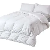 Homescapes Winterbettdecke – Entenfedern & Daunen, Wärmeklasse 4, 260 x 220 cm