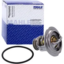 mahle TX 123 95D
