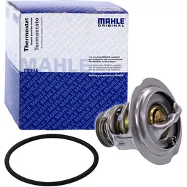 mahle TX 123 95D