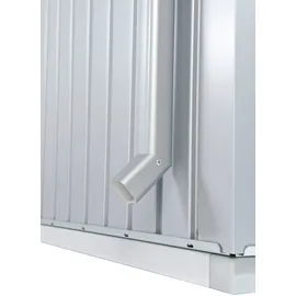 Biohort Regenfallrohr-Set HighLine 3,9 x 3,9 x 204 cm Silber