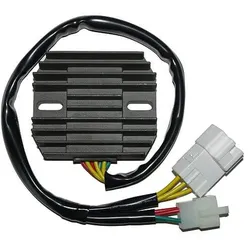 ElectroSport Laderegler ESR 436