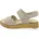 Bunt 37 5