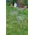 Ambiente Haus Blumenhocker 70 x 70 cm Grau