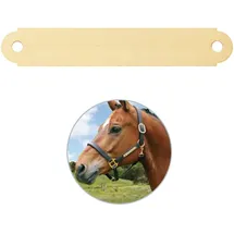 iMARC Pferdeschild mit Gravur mittel für Halfter, Trense, Stall