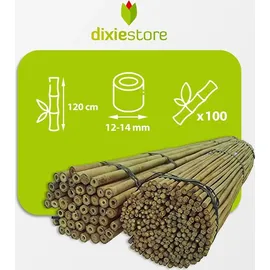 DIXIE STORE Bambusstangen Set Pflanzenstütze 100 Stück 120 cm 12/14 mm