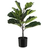 aplanta Künstlicher Ficus Lyrata - Luan | 60 cm