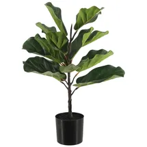 aplanta Künstlicher Ficus Lyrata - Luan | 60 cm