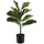aplanta Künstlicher Ficus Lyrata - Luan | 60 cm