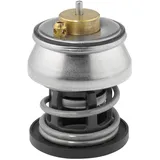 BorgWarner (Wahler) Borgwarner Thermostat, Kühlmittel 412253.88D