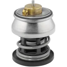 BorgWarner (Wahler) Borgwarner Thermostat, Kühlmittel 412253.88D