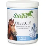 Stiefel Kieselgur 1 kg