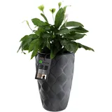 Kadax Blumentopf mit Einsatz und Griffen, aus Kunststoff, 48.5 cm, anthrazit - KADAX