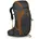 Osprey Exos 38 Rucksack Grau