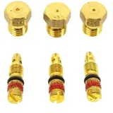 Bosch Butan - Propan Injektoren Für Bosch Herde