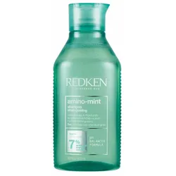 Tiefenreinigendes Shampoo Redken Amino-Mint Fettes Haar (300 ml)