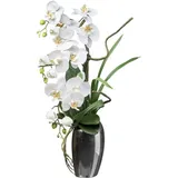 Creativ green Kunstorchidee »Orchidee Phalaenopsis«, mit real-touch-Blüten, weiß