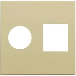 Niko Züblin 221-65702 Abdeckung für Einfach Koaxialanschluss und Netzwerkverbindung RJ45, gold coated 22165702