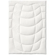Kauffmann Wildseide Sommer-Bettdecke -200x200cm