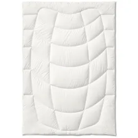 Kauffmann Wildseide Sommer-Bettdecke -200x200cm